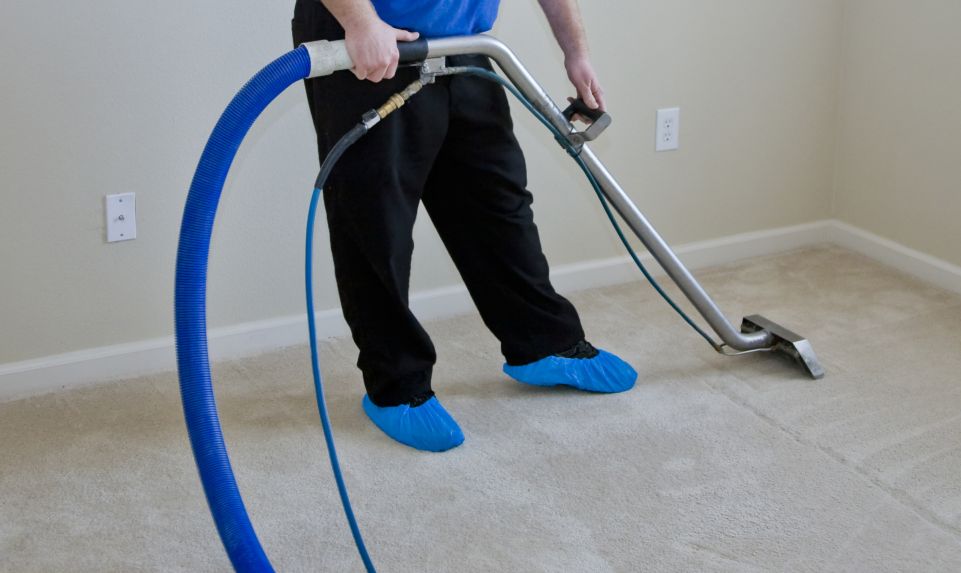 carpet cleaning services halifax ns