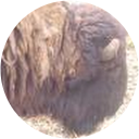 Neil McIntyre profile picture